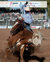 Sunday Rodeo
