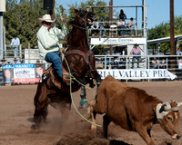 Cattle Call 2012