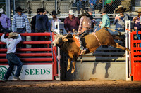 Cattle Call 2015