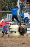 Cattle Call 2007