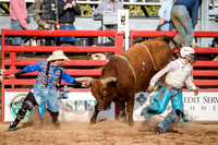 Cattle Call 2017