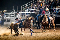 Cattle Call 2023