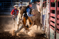 Cattle Call 2021