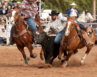 Cattle Call 2011