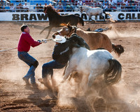 Cattle Call 2009