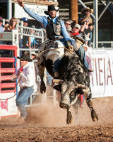 Sunday Rodeo