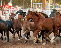 Saturday Matinee Rodeo