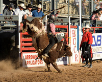 Sunday Afternoon Rodeo
