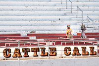 Cattle Call 2020
