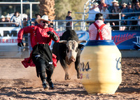 Cattle Call 2013