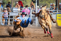 Cattle Call 2019