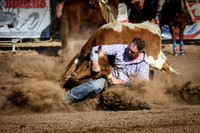 Cattle Call 2016