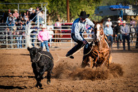 Cattle Call 2022