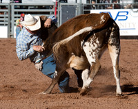 Cattle Call 2010