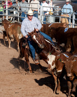 Sunday Rodeo